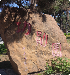 关于沈阳回龙岗墓园