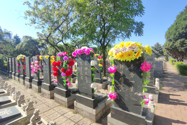 沈阳墓地墓区展示