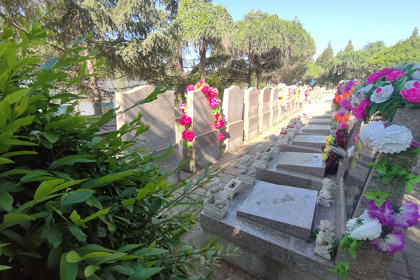 购买沈阳墓园时墓位朝向的选择：传承与和谐的考量