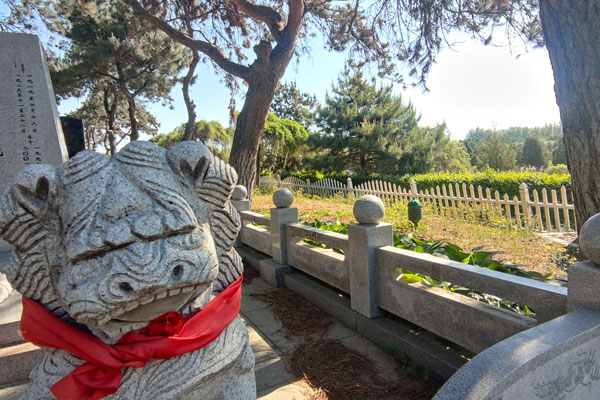 沈阳公墓的独立墓位值得购买吗？——墓地投资与个人情感价值