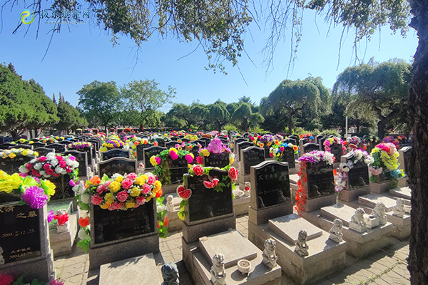 沈阳墓地树葬有年限吗？政策规定与实际操作解析！