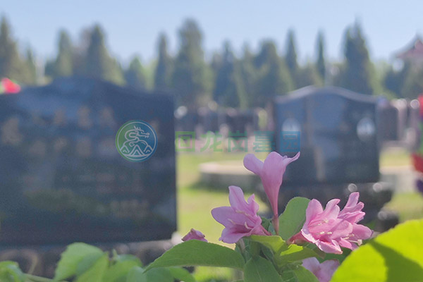 可以提前购买沈阳回龙岗墓地吗？有什么要求？提前买有哪些好处？