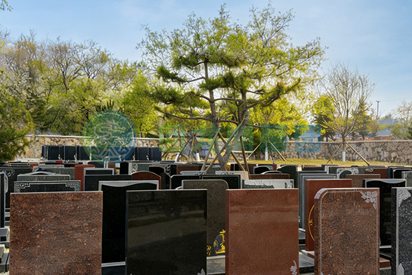 沈阳陵园到期怎么收费？需要注意哪些？