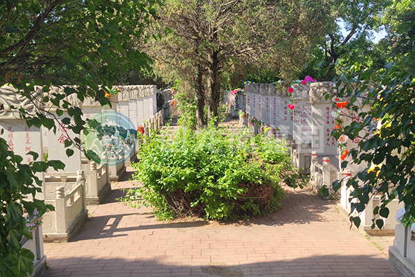 沈阳陵园祭祀流程主要包括哪些环节？各阶段应注意什么？