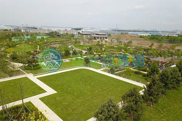 沈阳回龙岗墓园：让爱长眠于自然的怀抱与记忆的河流中